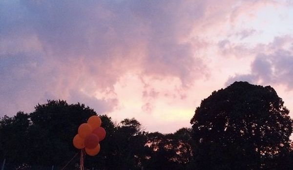 Photo Of The Day: Summer In The Park