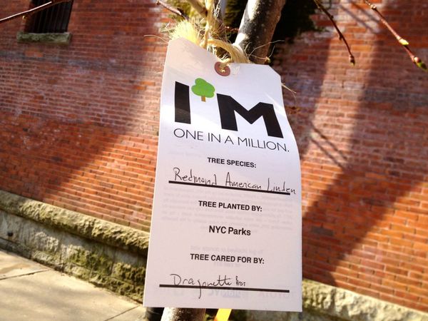 No Kensington-Windsor Terrace Subway Changes (Again!) This Weekend