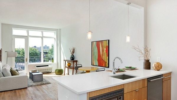 South Slope Rental Roundup