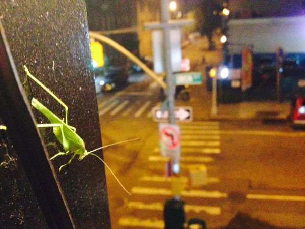 Photo Of The Day: Hop To It