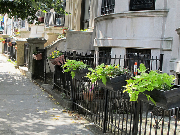 Park Slope Takes Home Several Greenest Block In Brooklyn Mentions