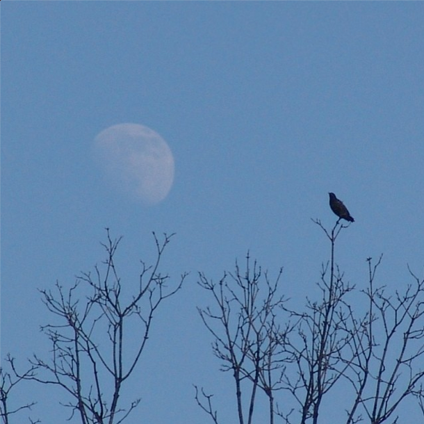 Photo Of The Day: Metal Album Cover