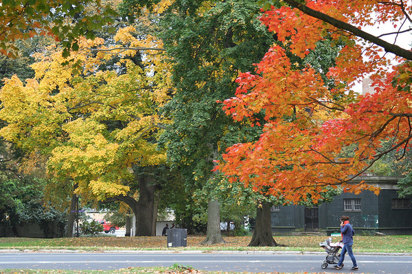 Things To Do In Prospect Park This Fall