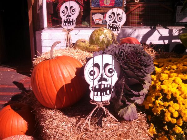 Brooklyn News Roundup