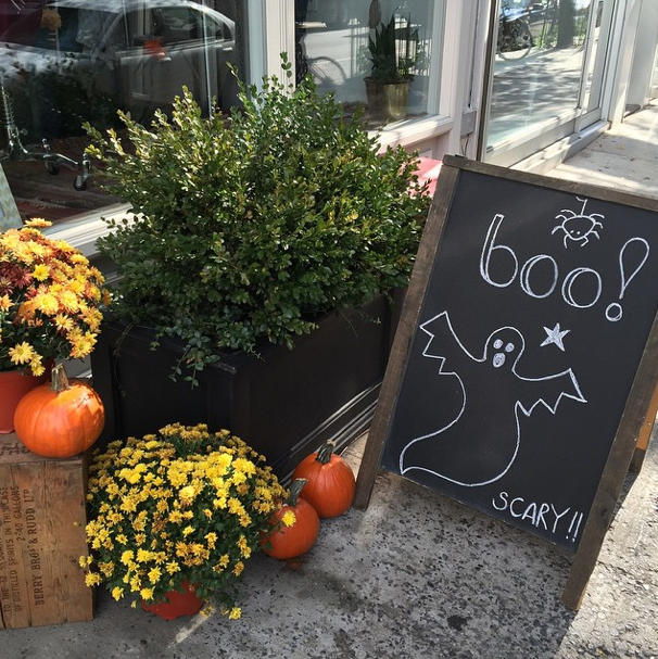 Photo Of The Day: Boo!