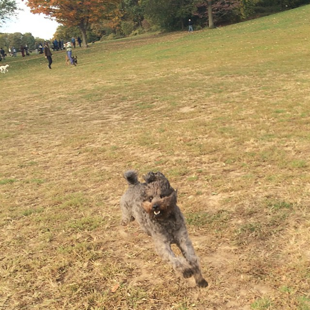 Photo Of The Day: In Flight