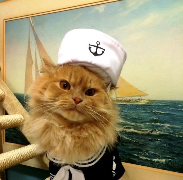 Vote For What Minnie Red Should Be This Halloween!