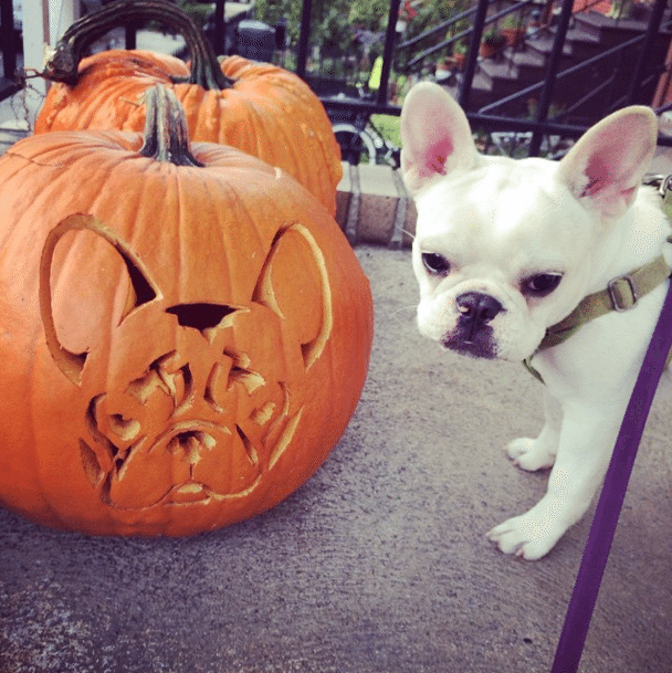 Photo Of The Day: Matching Set