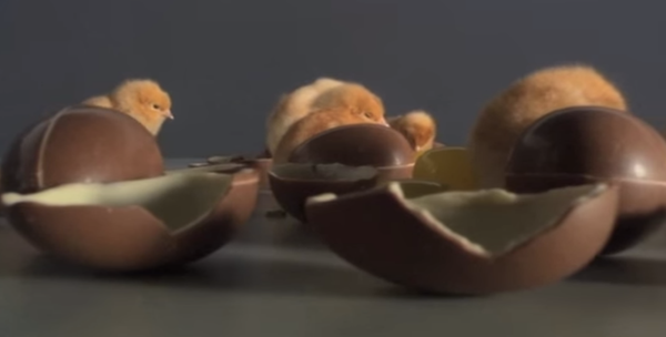 See ‘Food Design’ At Next Week’s Plow To Plate Event At The Coop