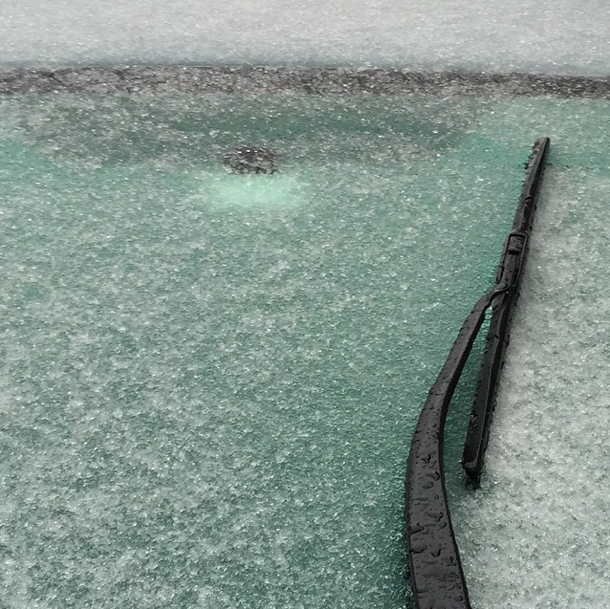 Photo Of The Day: Happy Icegiving