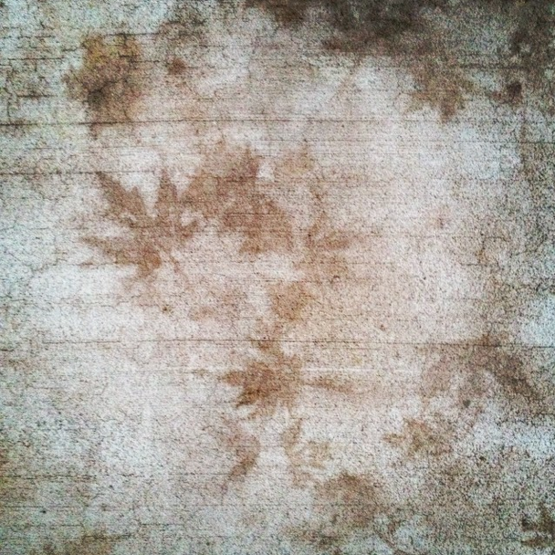 Photo Of The Day: Impressions