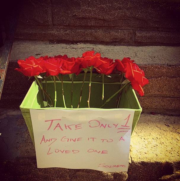 Photo Of The Day: Take A Flower, Give A Flower