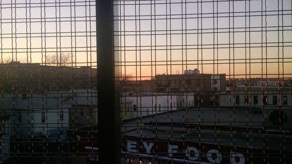 Weekend Reading: Brooklyn Stories You May Have Missed