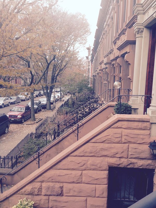 Photo Of The Day: Fall Stoops