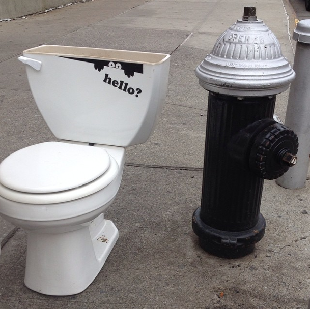 Photo Of The Day: Hello?