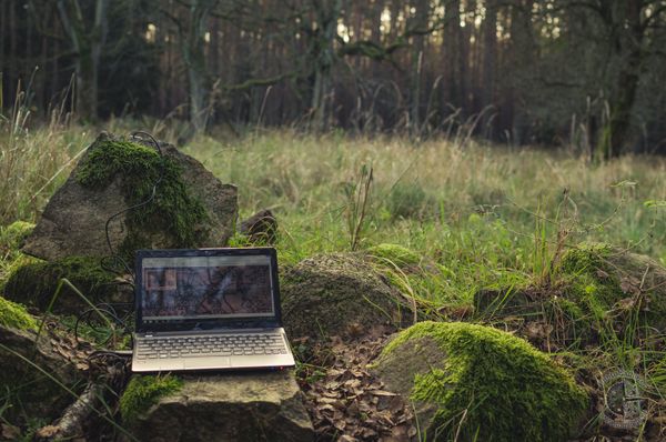 City Greenlights Plan To Turn Pay Phones Into WiFi Hotspots, Including 586 Brooklyn Locations