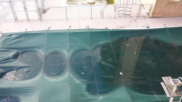 Morning Mug: “And If You Go Chasing Rabbits…”