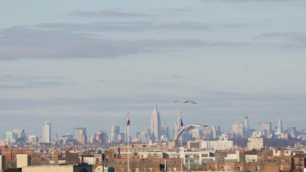 Puzzle: Through The Looking Glass