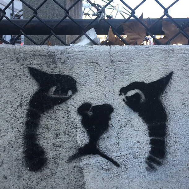 Photo Of The Day: Cat Wuz Here