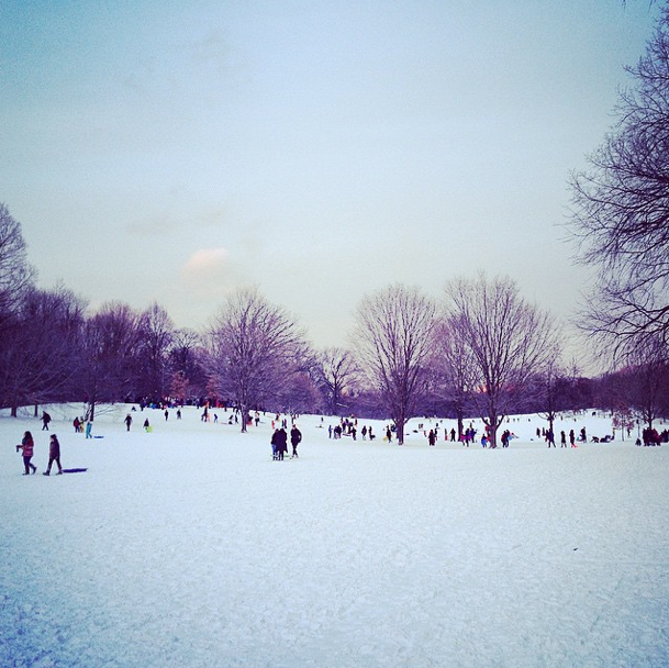 Photo Of The Day: Snowy Dusk In The Park