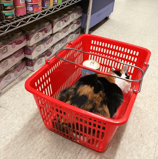 Photo Of The Day: Price Check