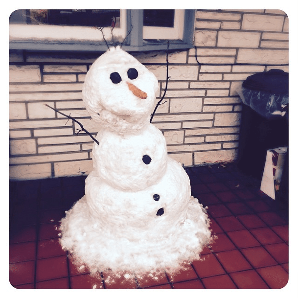 Photo Of The Day: Snowmen