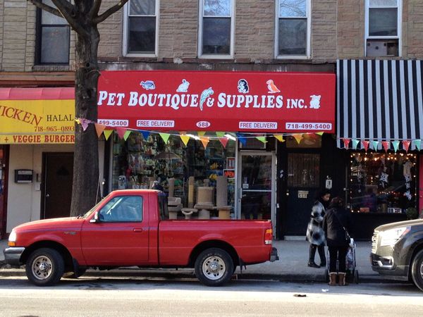 Pet Boutique & Supplies Opens Second 5th Avenue Location