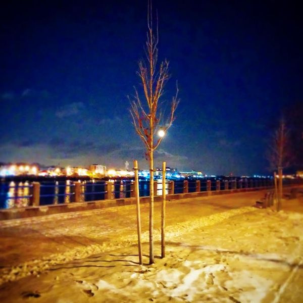 Morning Mug: Shore Boulevard… It’s Electric!