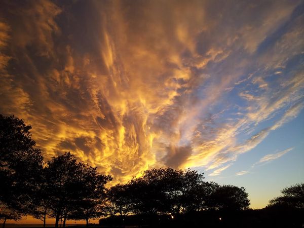Morning Mug: “Heaven’s Door”