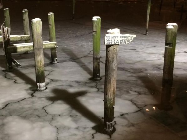 Morning Mug: “Do Not Feed The Sharks”