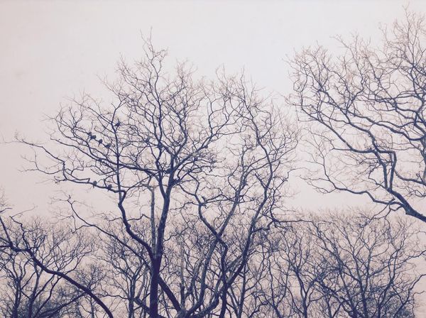 Morning Mug: You’ve Heard Of “Snakes On A Plane?”