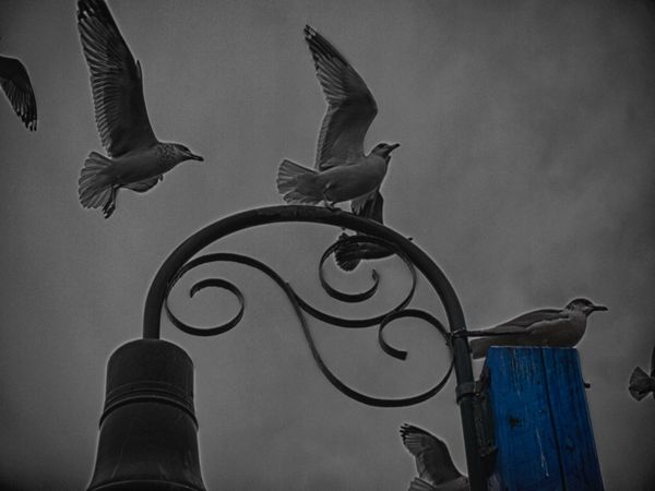 Morning Mug: “Landing Strip”