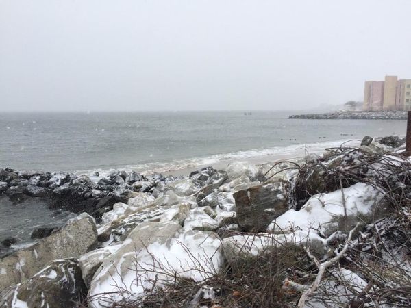 Weekend Reading: Brooklyn Stories You May Have Missed