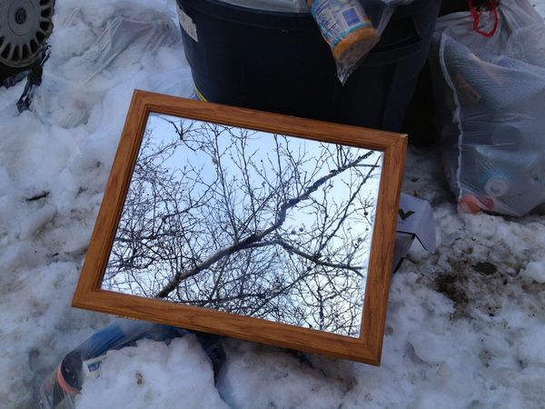 This Week On The Stoop: Old-School Photography, Cheesy Bacteria, 7th Ave Cell Phone Store