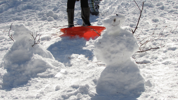 Things To Do In Prospect Park In February