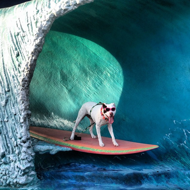 Weekday Fun: The Best Events February 2-4