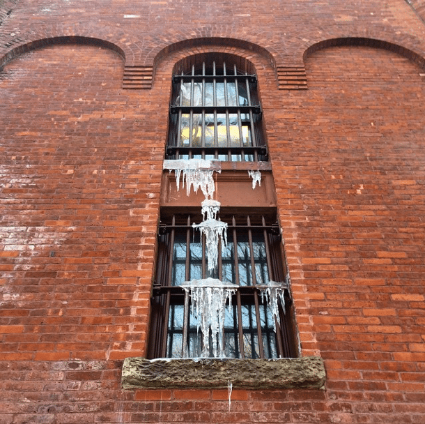 Photo Of The Day: Pointy