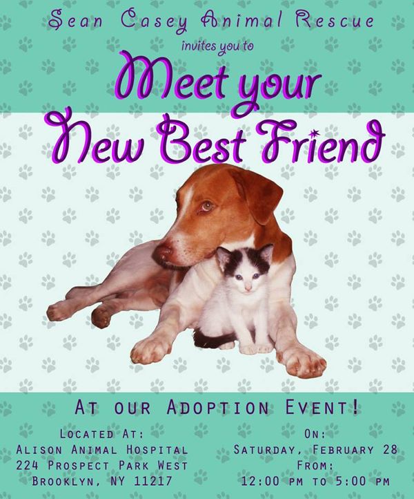 Find A New Furry Friend At An Adoption Event This Saturday