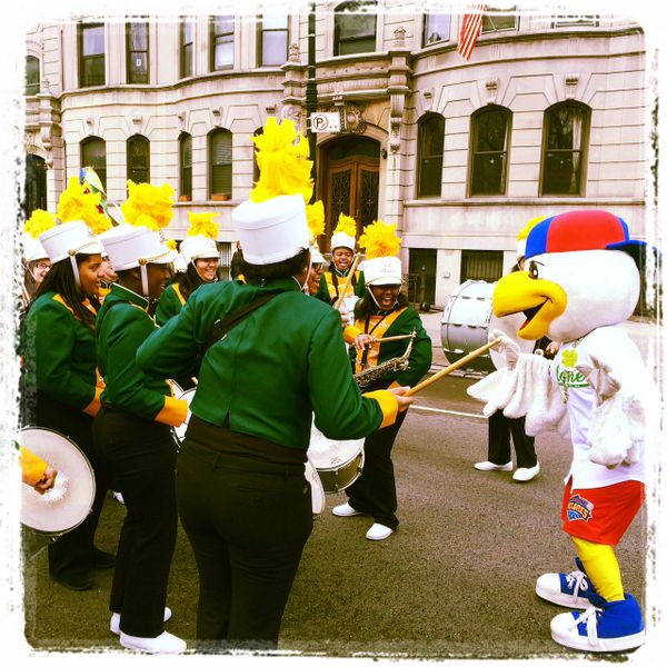 Photo Of The Day: Going Green