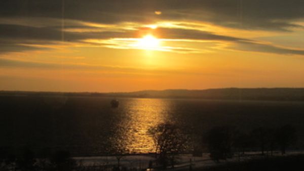 Photo Of The Day: Miles Of Gold