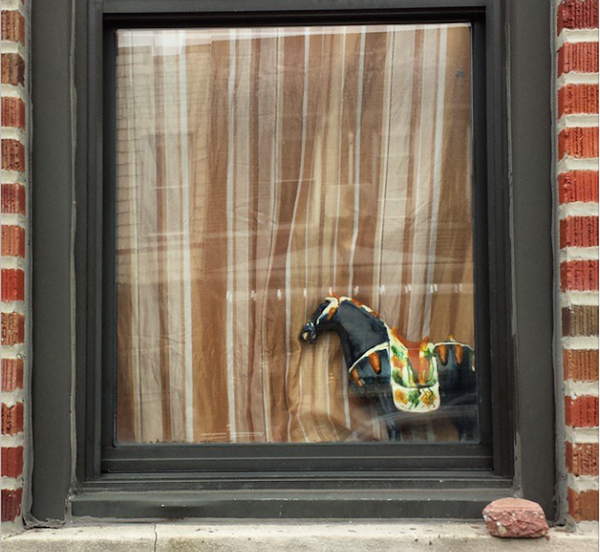 Photo Of The Day: Black Beauty