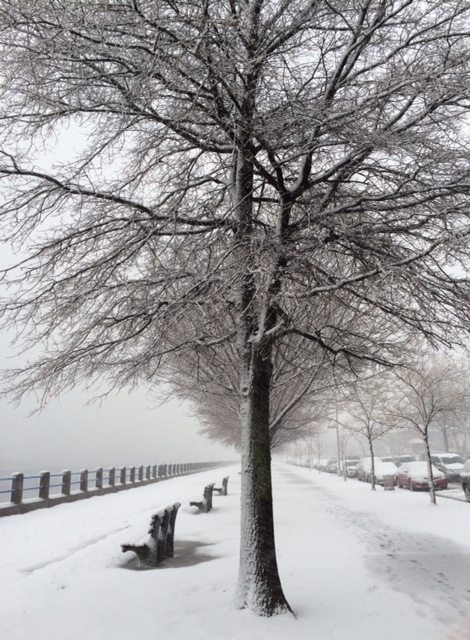 Morning Mug: “Another Day In Paradise”