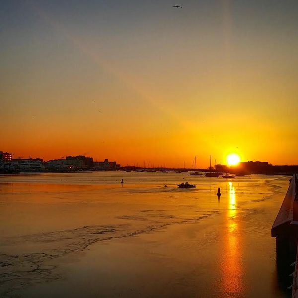 Weekend Reading: Brooklyn Stories You May Have Missed