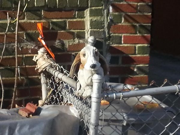 Morning Mug: How Much Is That Doggy On The Trash Bin?