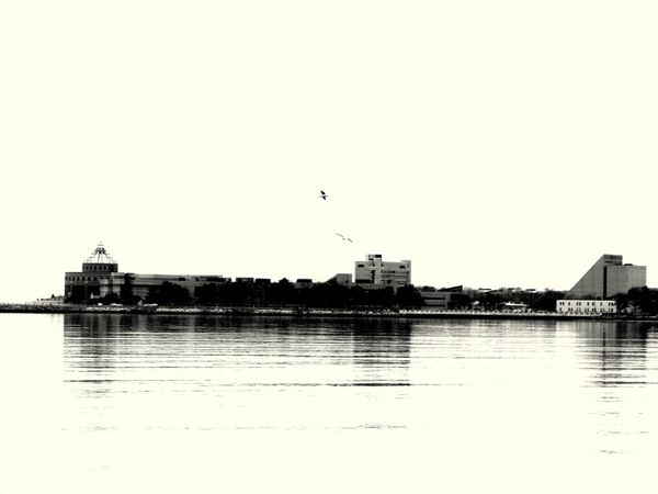 Morning Mug: “Vanilla Bay”