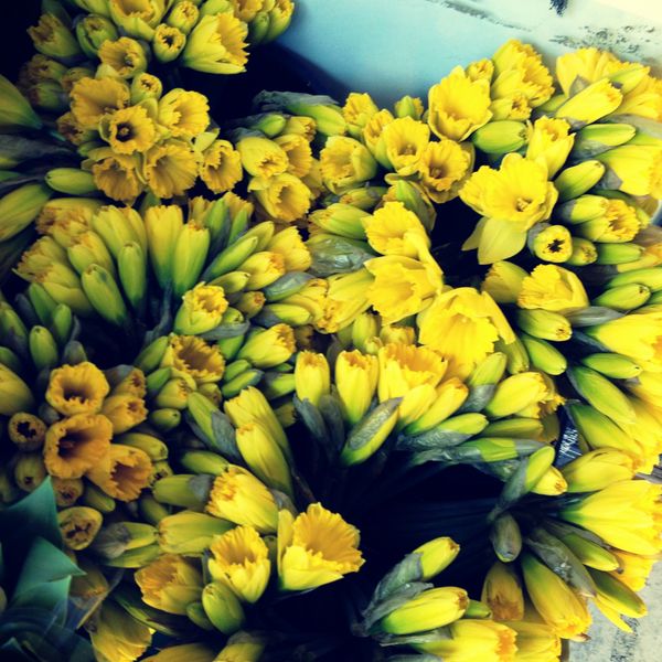 Photo Of The Day: Spring Is On The Way