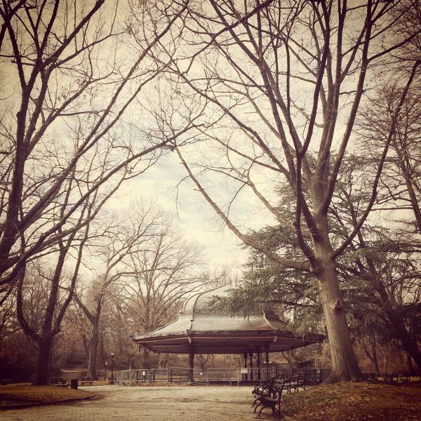 Photo Of The Day: Ready For Leaves