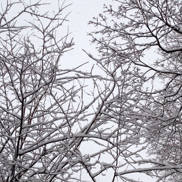 This Week On The Stoop: Manhole Fire, Chess Champs, Snickerdoodles