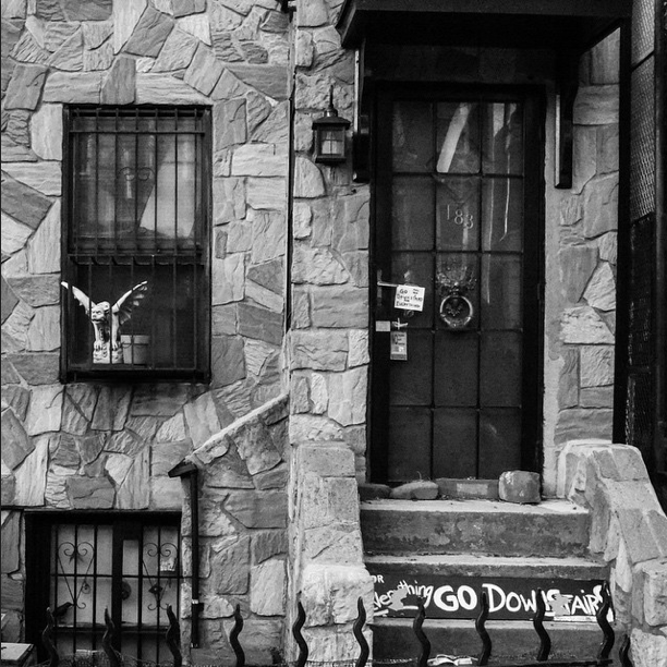 Photo Of The Day: Everything Go Downstairs