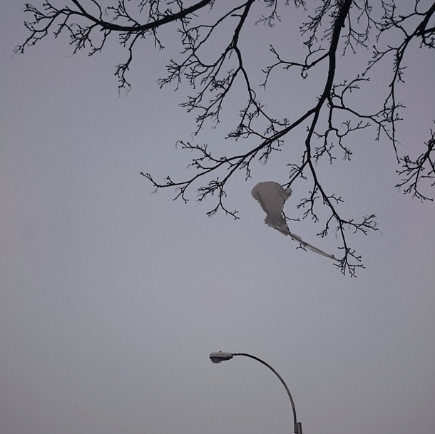 Photo Of The Day: Monochrome Morning